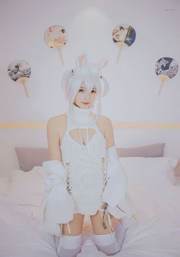 环球大冒险熊出没免费观看