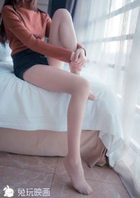 仙踪林电视剧在线观看完整