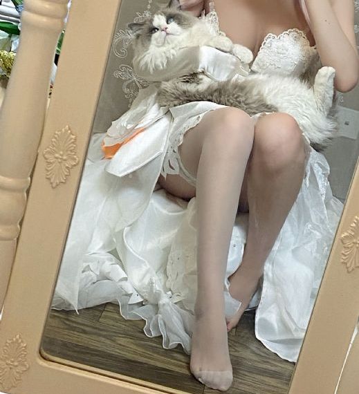 西游记惊艳版全集免费