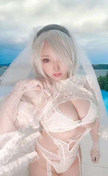 恣女木