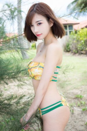 完美世界全集免费观看
