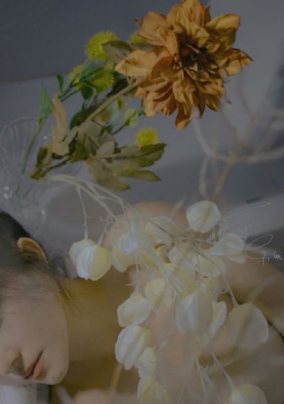 我的美丽人生电视剧免费完整版