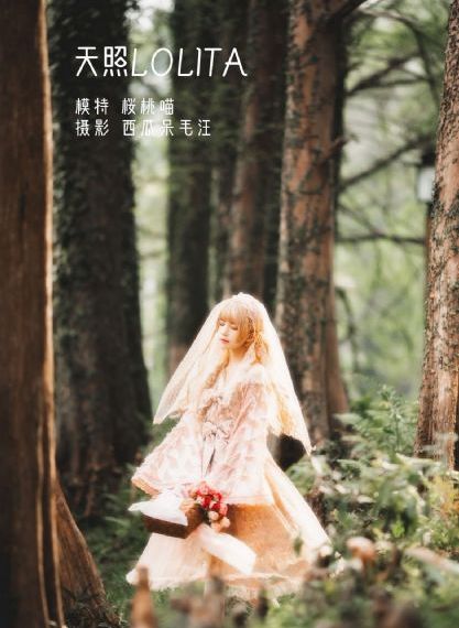 海贼王在线观看免费全集