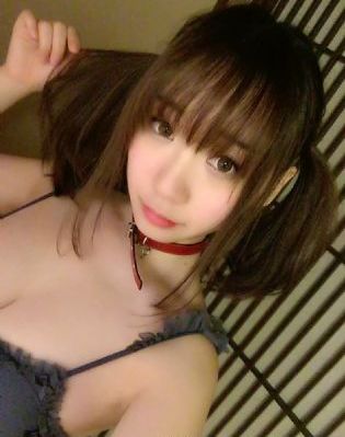 疯狂动物城免费国语版观看